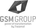 GSM Group